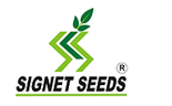 signet seed